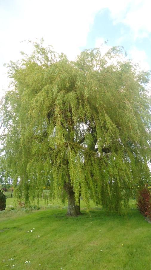 Au Grand Saule Villa Les Attaques Rom bilde