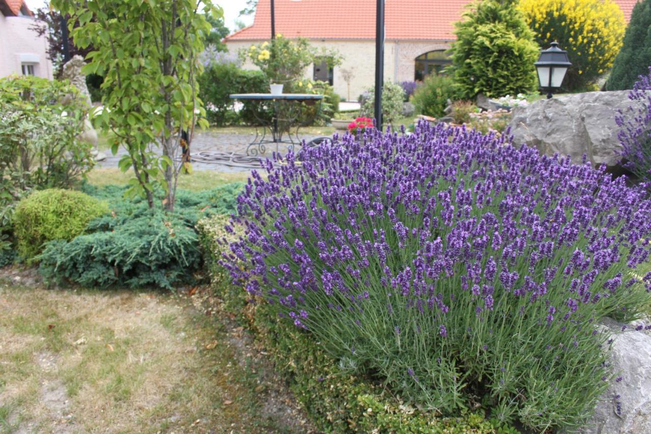 Au Grand Saule Villa Les Attaques Rom bilde